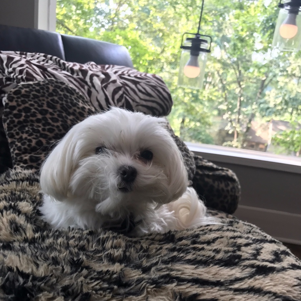 Meet your Posher, Parker