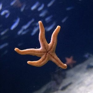 Meet your Posher, Barbara