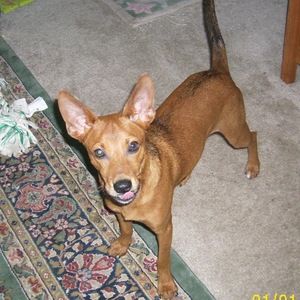 Meet your Posher, Kaitlyn