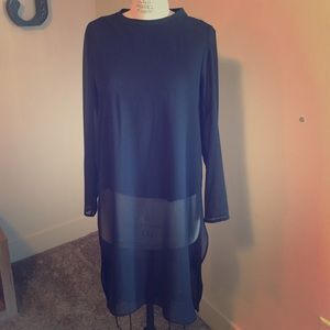 Amazing Zara sheer long sleeve top