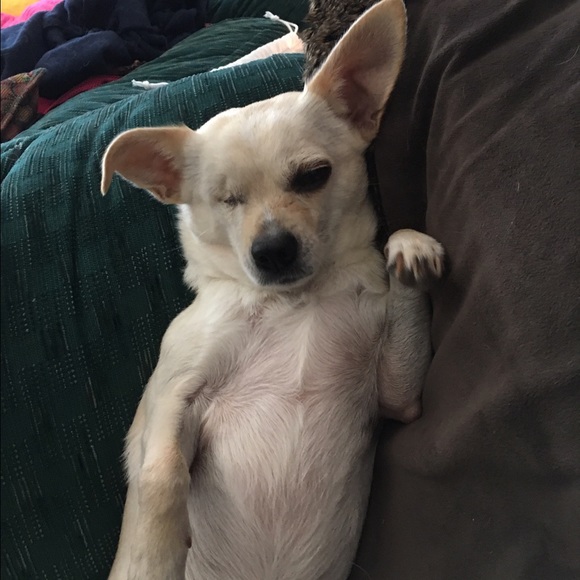 FYI - Picture 3 of 3