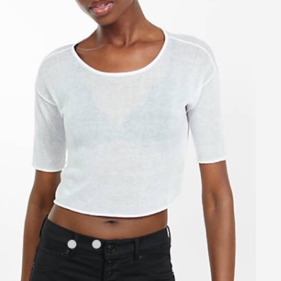 Express Sheer Crop Top
