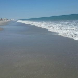 Meet your Posher, Antinia