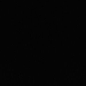 Meet your Posher, Cassidy