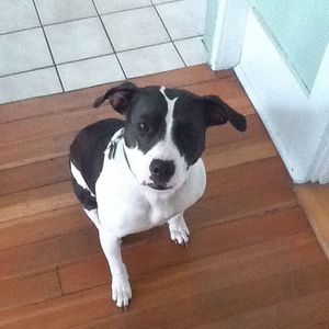 Meet your Posher, Tess