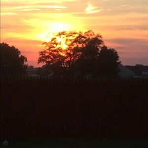 Meet your Posher, Liz