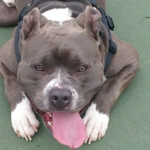 Meet your Posher, Jayme