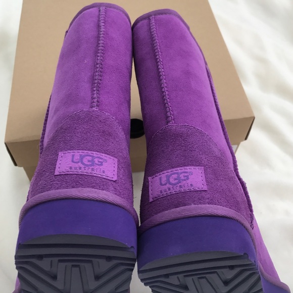 Brand new classic short UGG boots - Picture 2 of 4