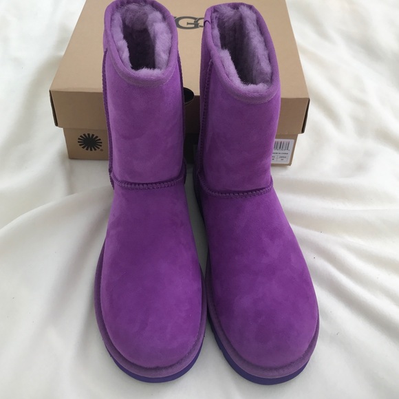Brand new classic short UGG boots - Picture 3 of 4