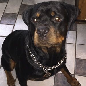 Meet your Posher, Nilson