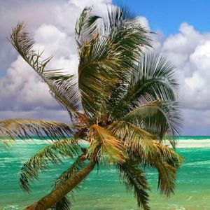 Meet your Posher, Cyndi