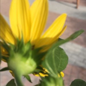 Meet your Posher, Beatriz