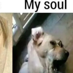 Meet your Posher, Jordan