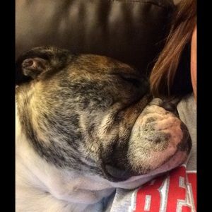 Meet your Posher, Beth