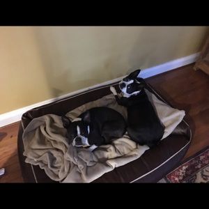 Meet your Posher, Carla