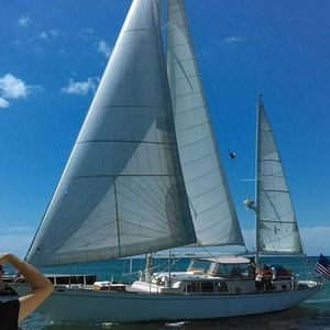 Meet your Posher, Dawn