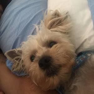 Meet your Posher, Flavia