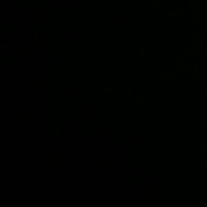 Meet your Posher, Lesli