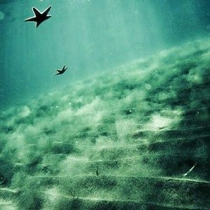 Reserved for trinaanneb