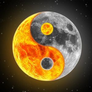 Meet your Posher, Albert