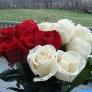 Meet your Posher, Josie