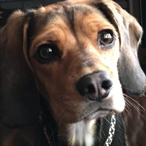 Meet your Posher, Jill