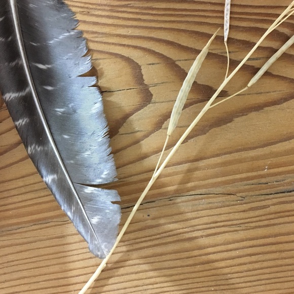 Meet your Posher, Jessie