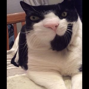 Meet your Posher, Paula