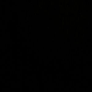 Meet your Posher, Xavier