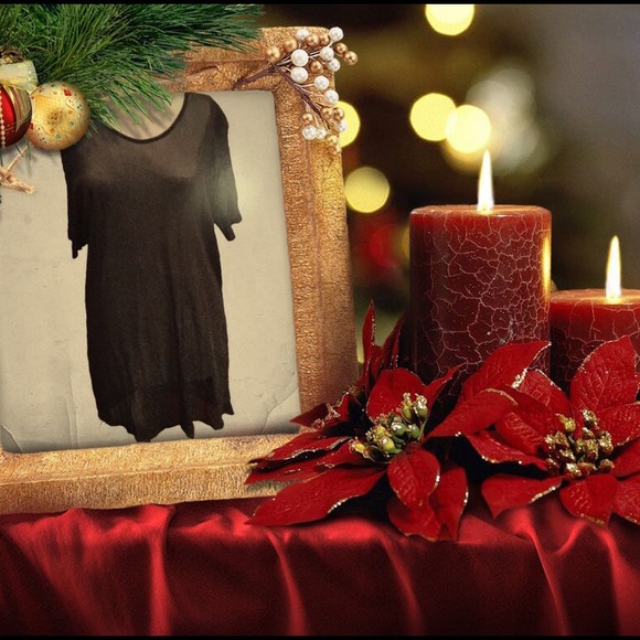 NWT La Palapa Sheer Silver Sparkly Tunic M🎁 - Picture 1 of 4