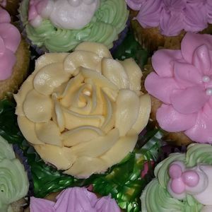 Meet your Posher, Lois