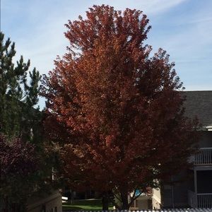 Meet your Posher, Raquel