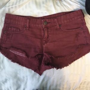 maroon dolphin cut shirts