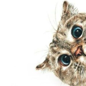 Meet your Posher, Edgar