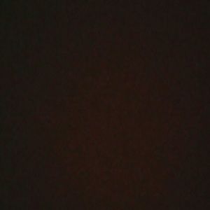 Meet your Posher, Demetrius