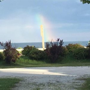 Meet your Posher, Randy