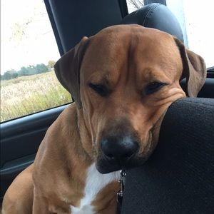 Meet your Posher, Marissa