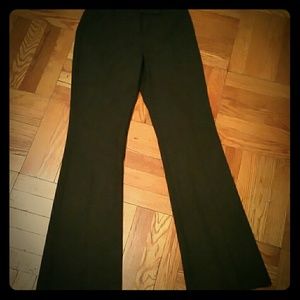 Chocolate Brown Limited  Dress Pants