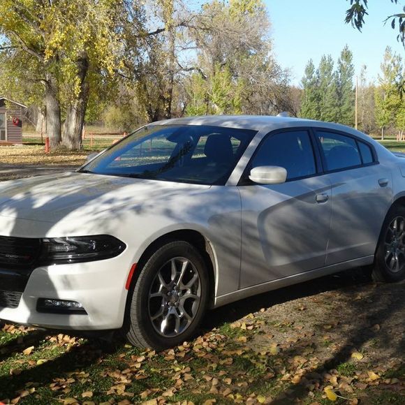 Meet your Posher, Holly - Picture 1 of 1