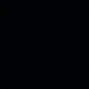 Meet your Posher, Willie