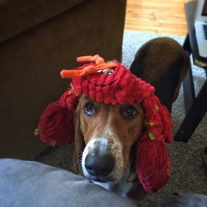 Meet your Posher, Katie