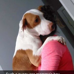 Meet your Posher, Jordan