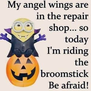 Meet your Posher, Judy