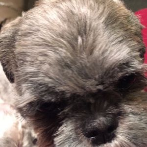 Meet your Posher, Yvonne