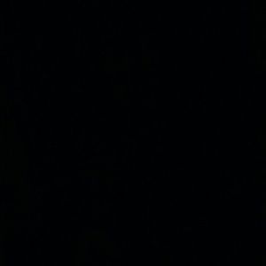 Meet your Posher, Luis