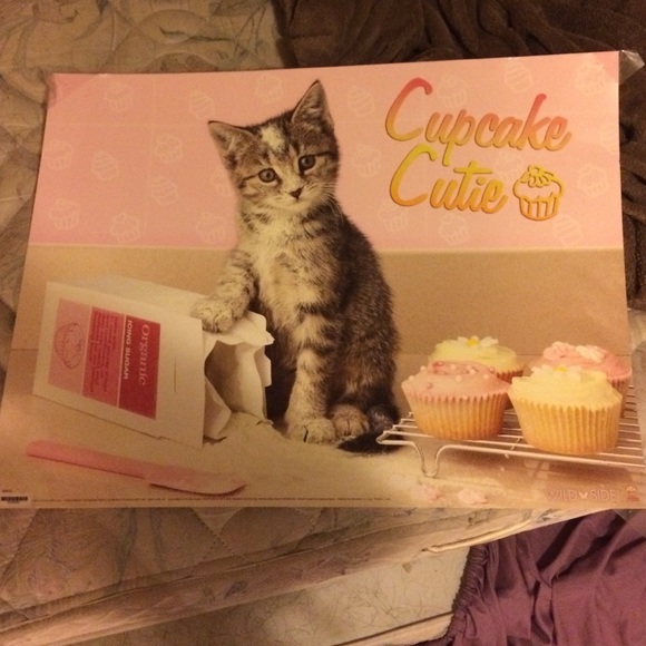 Cat cupcake poster