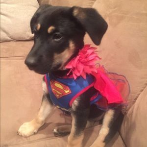 Meet your Posher, Danielle