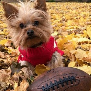 Meet your Posher, Nikki