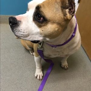 Meet your Posher, Stacey