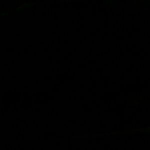 Meet your Posher, Timothy